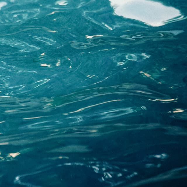 1 Mile Below: Beyond The Pier - Seascapers