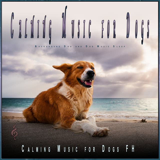 Calming Music for Dogs: Background Dog Sleeping Music - Dog Music