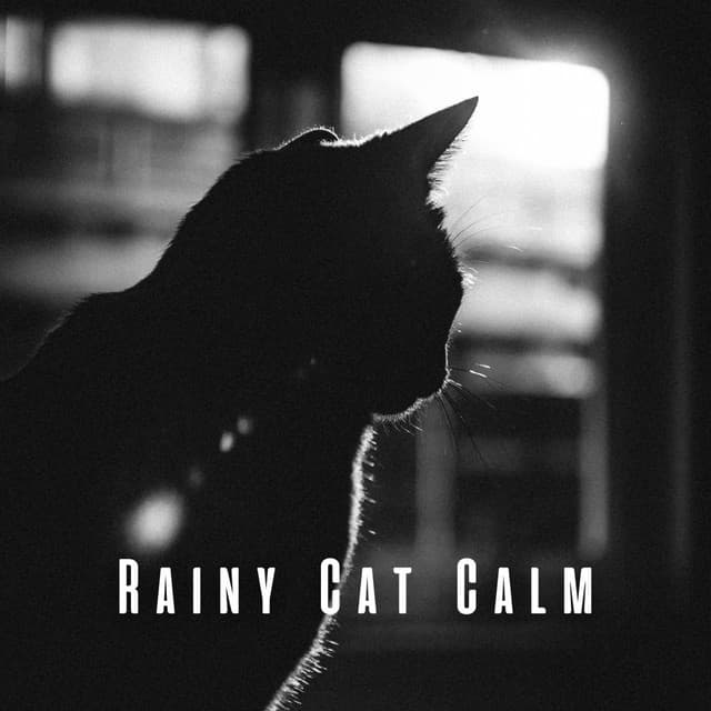 Rainy Cat Calm: Chill Sounds for Tranquil Felines - Rain Sounds Lab