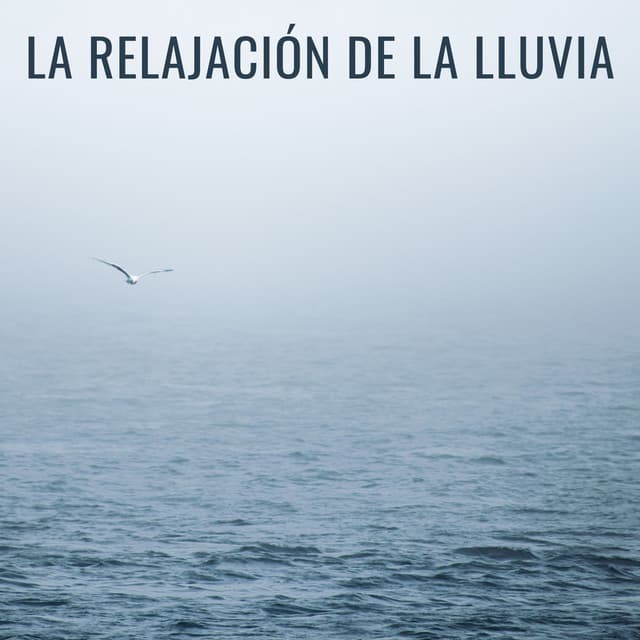 La Relajación De La Lluvia - Efectos especiales de lluvia del bosque
