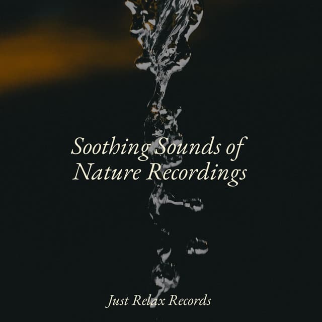 Soothing Sounds of Nature Recordings - Música Zen Relaxante