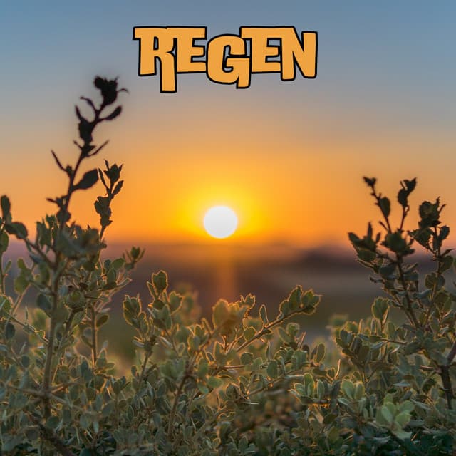 Vitalize Nature - Regengeräusche