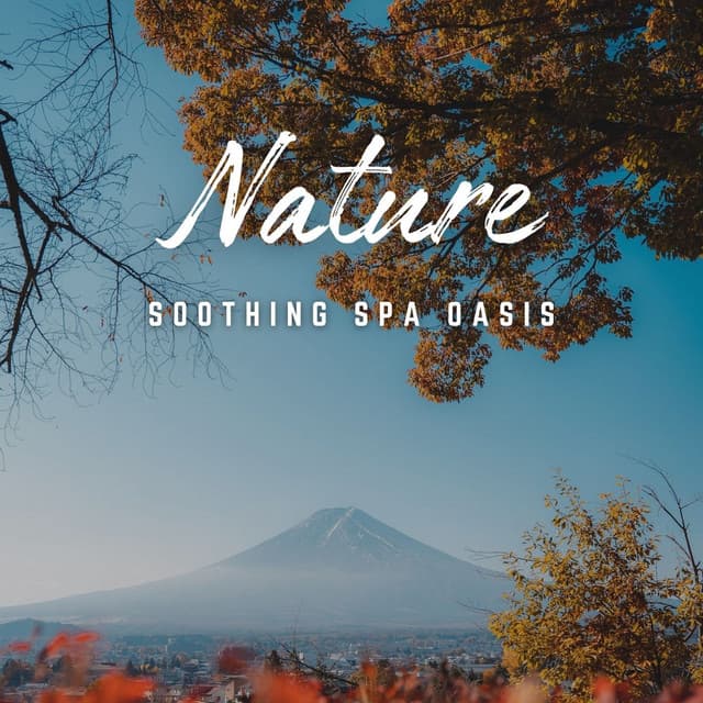 Soothing Spa Oasis: Sounds of Serenity - Chilling Spa Universe