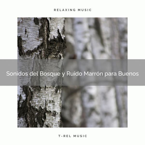 Sonidos del Bosque y Ruido Marrón para Buenos - Ruido Blanco