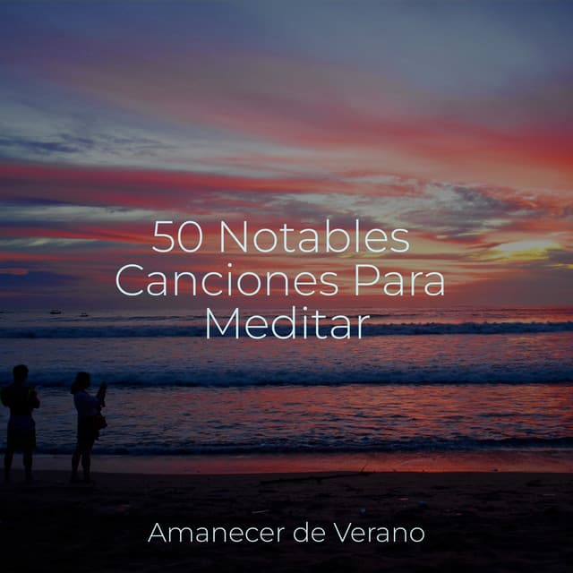 50 Notables Canciones Para Meditar - Música Instrumental Maestro