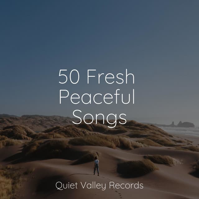 50 Fresh Peaceful Songs - Water Soundscapes