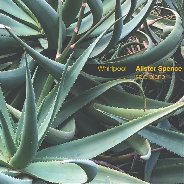 Whirlpool - Alister Spence