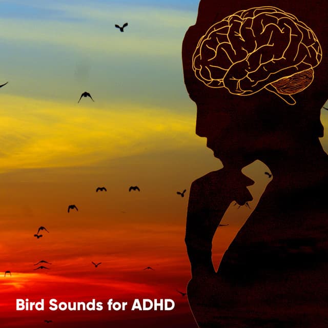 Bird Sounds for ADHD - Bird Sound Collectors