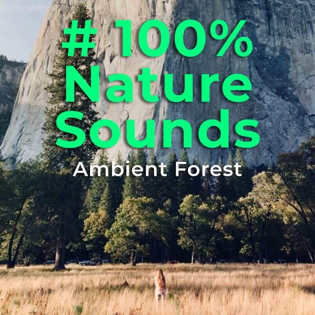 # 100% Nature Sounds - Ambient Forest