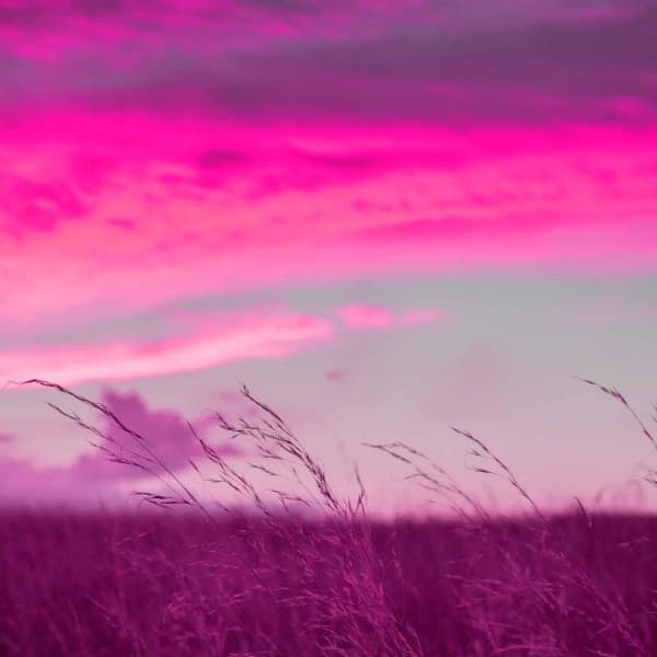 Lo-fi - Ambiance for All Night Studying - Lo-fi Pop Sounds