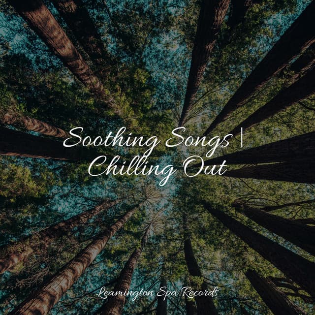 Soothing Songs | Chilling Out - Schlaflieder Relax