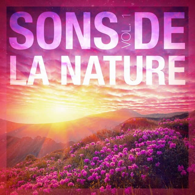 Musique et sons naturels
