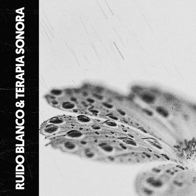 Ruido Blanco & Terapia Sonora: Naturaleza ES ruido - Ruido Blanco Hart