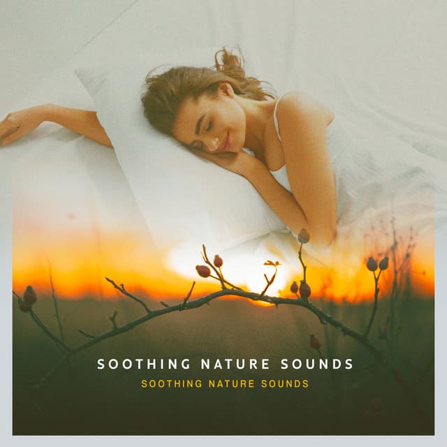 Soothing Nature Sounds - Soothing Nature Sounds