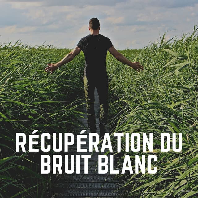 Récupération du Bruit Blanc - Bruit Blanc