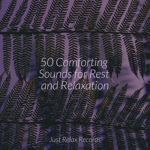 50 Comforting Sounds for Rest and Relaxation - Meditation Spa