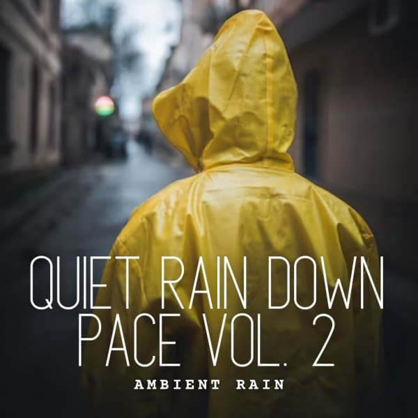 Ambient Rain: Quiet Rain Down Pace Vol. 2 - Pinetree Way