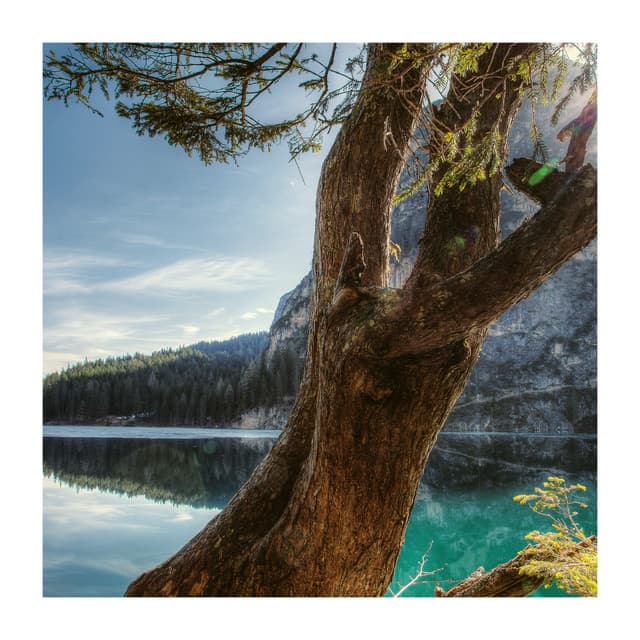 Healthy Body and Mind - Pilates Dance Music Universe