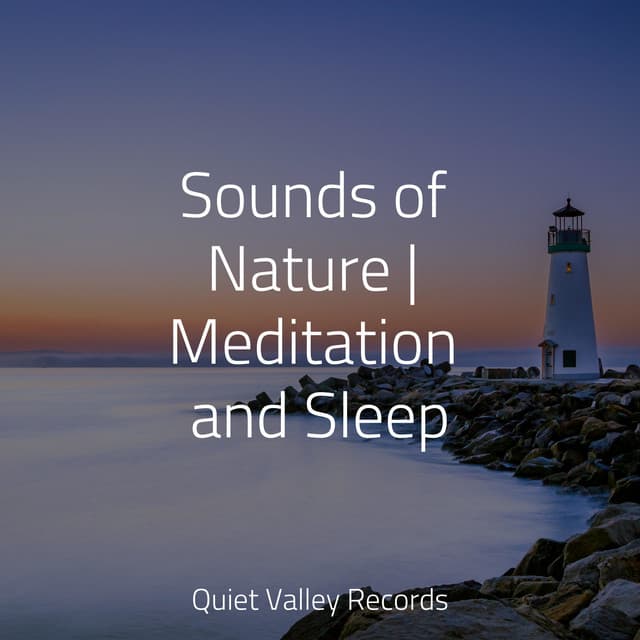 Sounds of Nature | Meditation and Sleep - Yoga Namaste