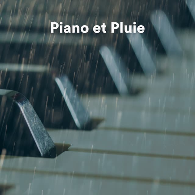 Piano Et Pluie - Piano Pacifico