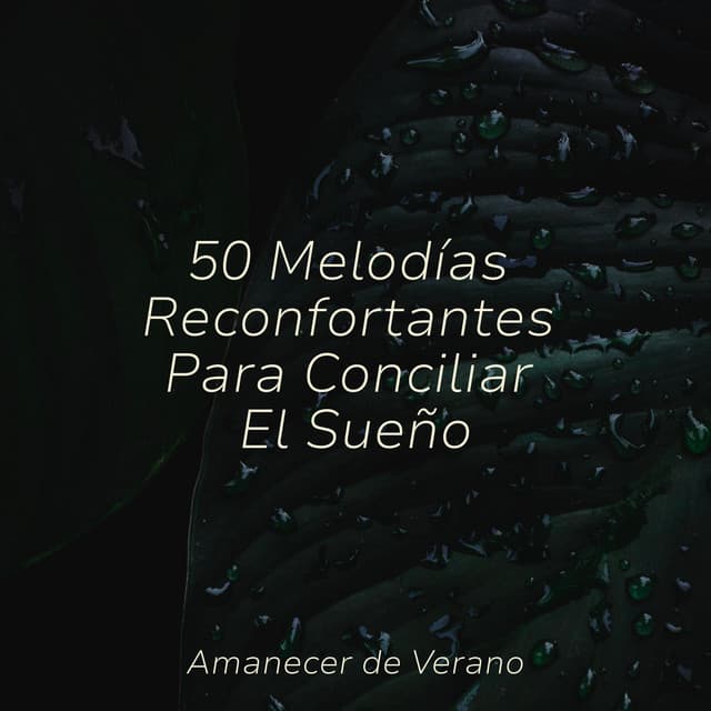 50 Melodías Reconfortantes Para Conciliar El Sueño - Children's Music