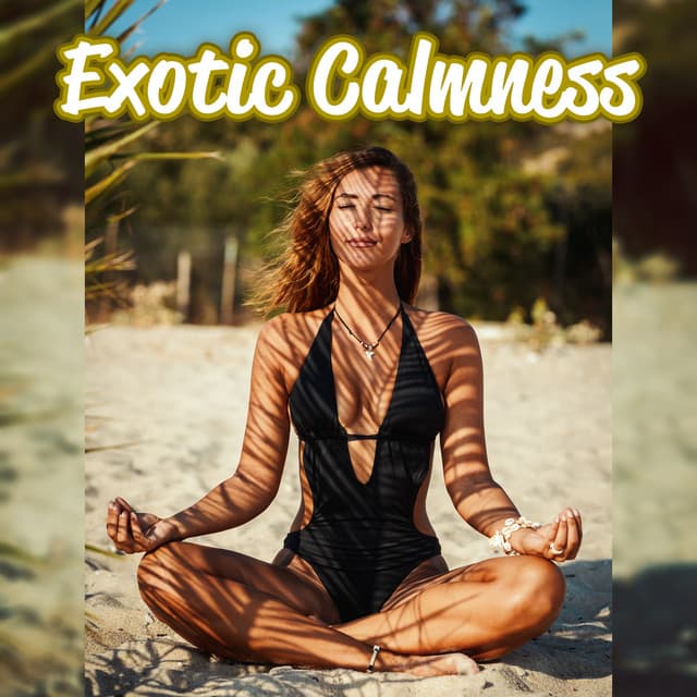 Exotic Calmness: Meditate on the Beach with Hang Drum Sounds and Find Your Inner Peace - Meditation Group