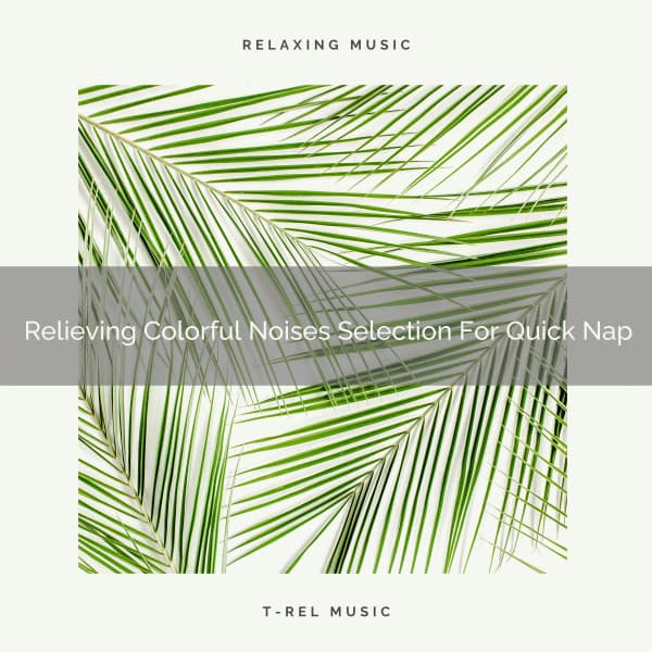 Relieving Colorful Noises Selection For Quick Nap - Ocean Sleep Sounds