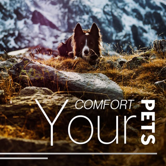 Comfort Your Pets: Audio Therapy for Animals - Life Sounds Nature
