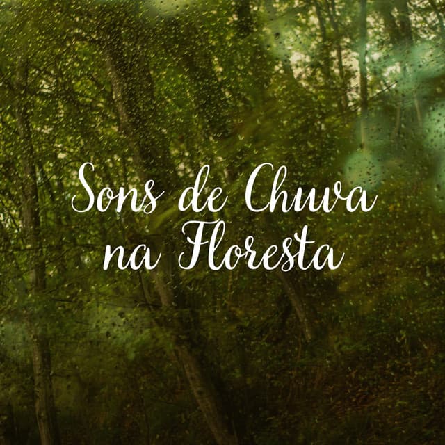 Sons de Chuva na Floresta - Chuva Para Dormir