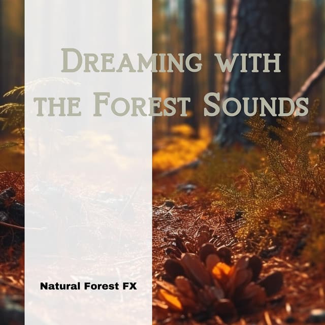Dreaming with the Forest Sounds - Natural Forest FX