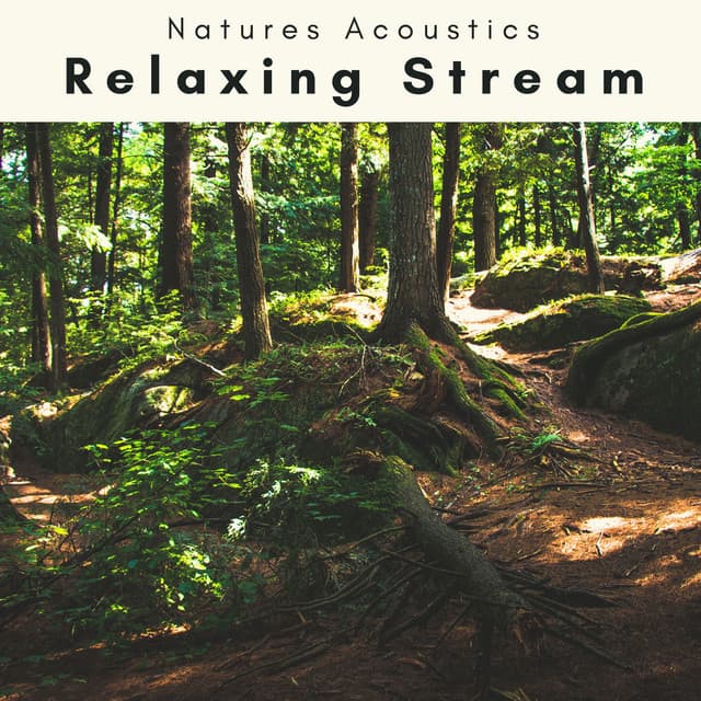 4 Ever Relaxing Stream - Natures Acoustics