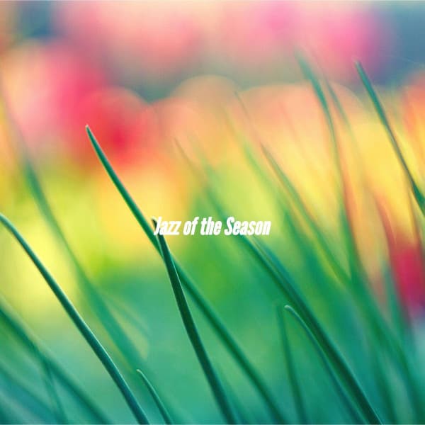 Jazz of the Season - Calm Instrumental Coffee House