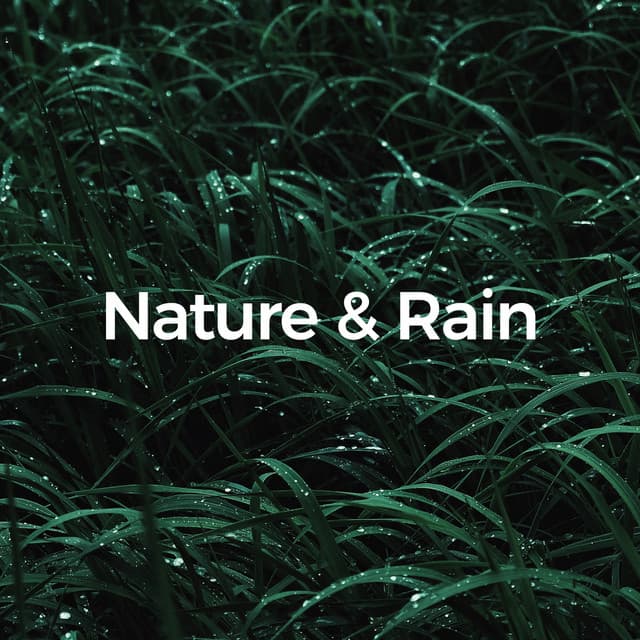 50 Relaxation Nature & Rain Sounds - White Noise Relaxation