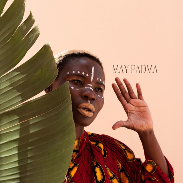African Diviner - May Padma