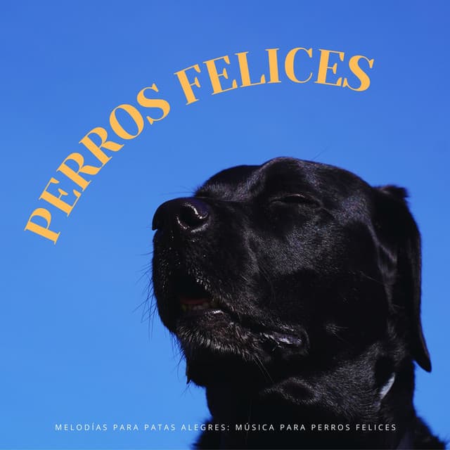 Melodías Para Patas Alegres: Música Para Perros Felices - Hippidion