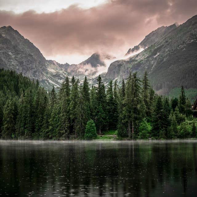 365 Rainfall: Rain Sounds For Deep Sleep - Meditation Rain Sounds