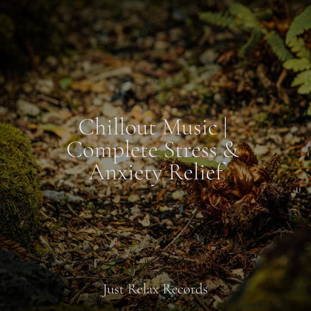 Chillout Music | Complete Stress & Anxiety Relief - Brain Study Music Guys