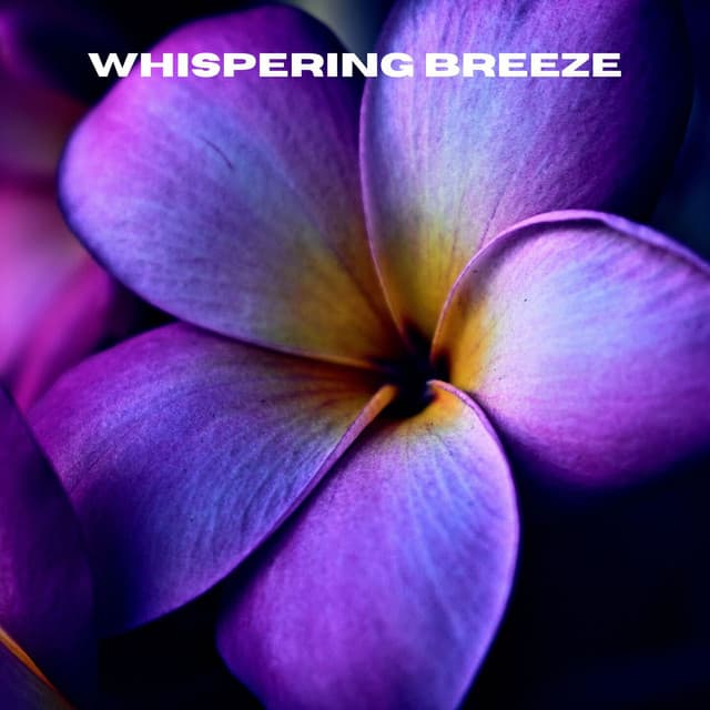 Whispering Breeze - Ruído Branco