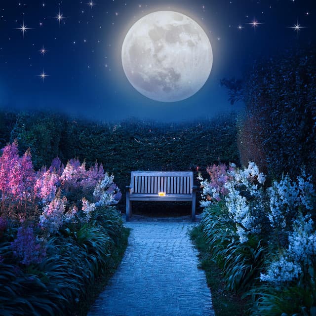 Descanso Nocturno: Paisajes Sonoros Para Dormir - Vibraciones de polvo de estrellas