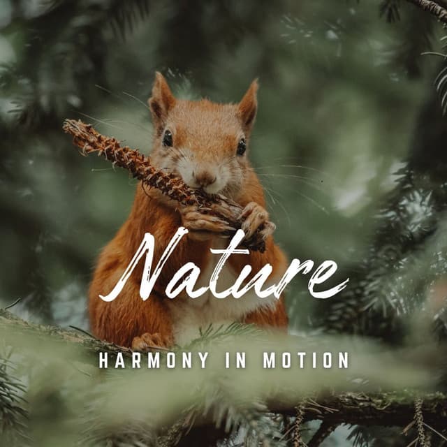 Harmony in Motion: Yoga Soundscapes - Music for Positive Energy