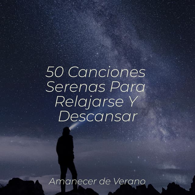 50 Canciones Serenas Para Relajarse Y Descansar - Calming Sounds
