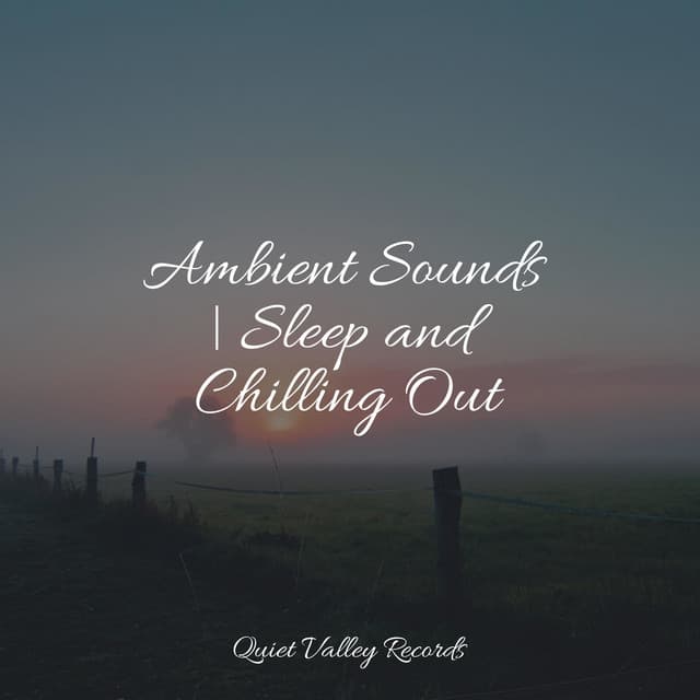 Ambient Sounds | Sleep and Chilling Out - Reiki Tribe