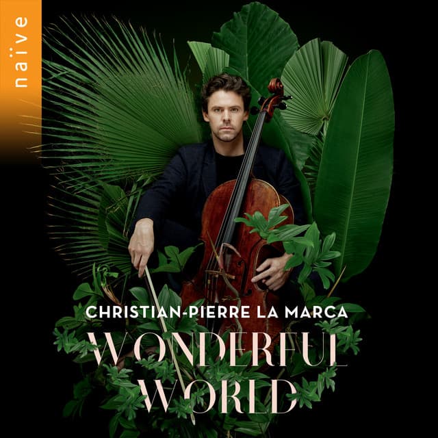 Wonderful World - Christian-Pierre La Marca