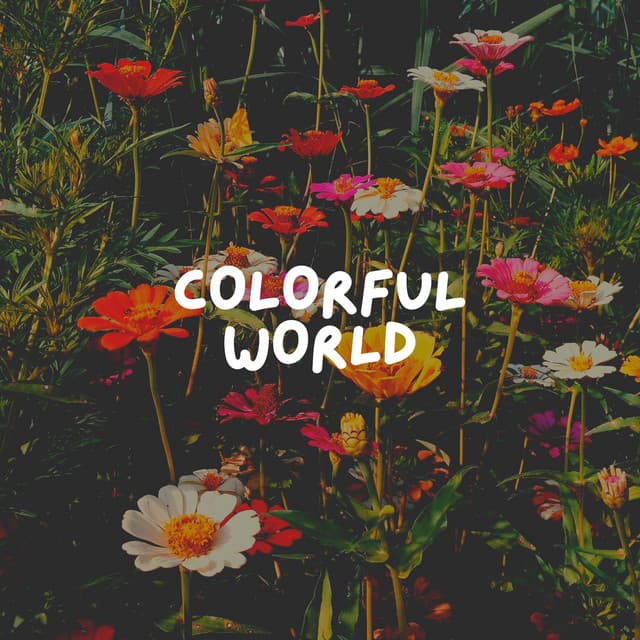 Colorful World - Nature Sound Collection