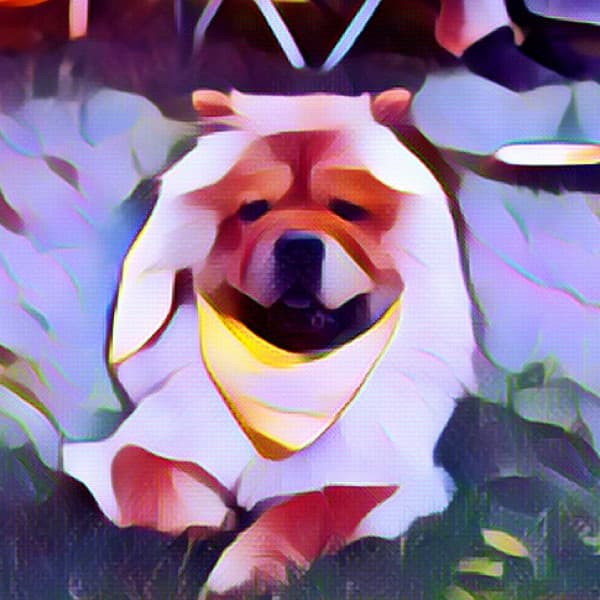 Echoes of Sleepy Hound Zone - Doggy Music Radio