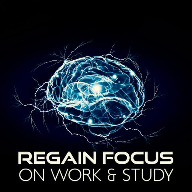 Regain Focus on Work & Study: Increase Concentration and Memory, Brain Waves Therapy & Binaural Beats Music - Deep Theta Binaural Beats