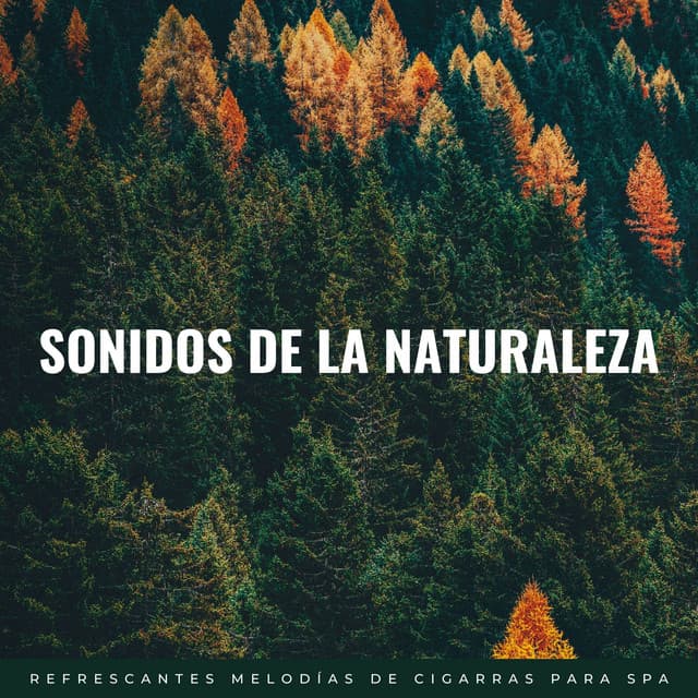 Sonidos De La Naturaleza: Refrescantes Melodías De Cigarras Para Spa - Suave por naturaleza
