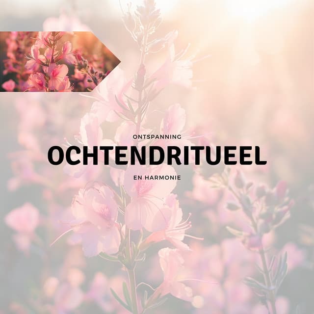 Ochtendritueel - Ontspanning en Harmonie