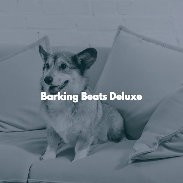 Barking Beats Deluxe - Study Music Deluxe