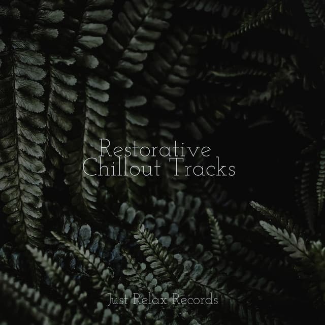 Restorative Chillout Tracks - Meditation